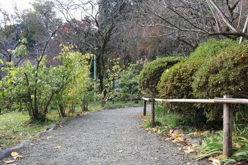 秋の公園 秋の公園の写真