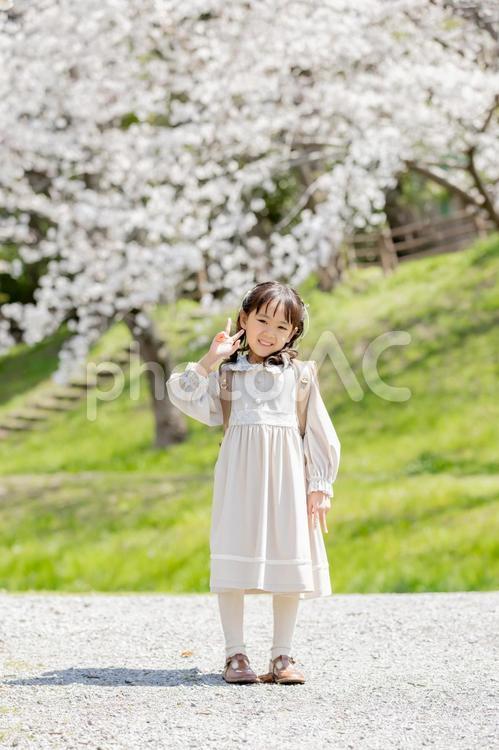 Vサイン　新一年生 新一年生,一年生,ピースの写真素材