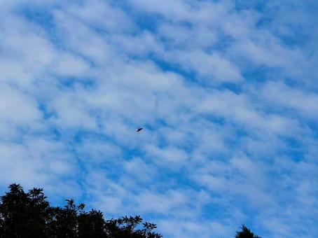 日本の空 日本の空の写真