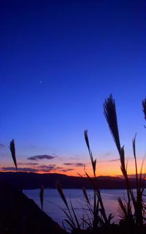 夕焼けとススキ 秋イメージ 夕焼けとススキ 秋イメージ ススキ,夕焼け,秋イメージの写真素材