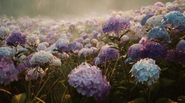 カラフルな紫陽花 カラフルな紫陽花の写真
