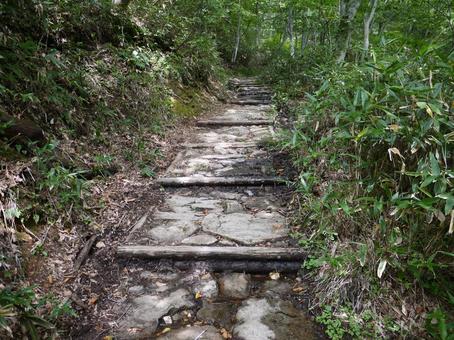 石畳の山道 石畳の山道 石畳,山道,道の写真素材