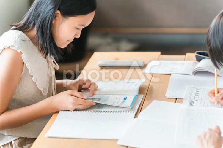 勉強をする小学生・女子中学生（夏休み） 勉強,学習,宿題の写真素材
