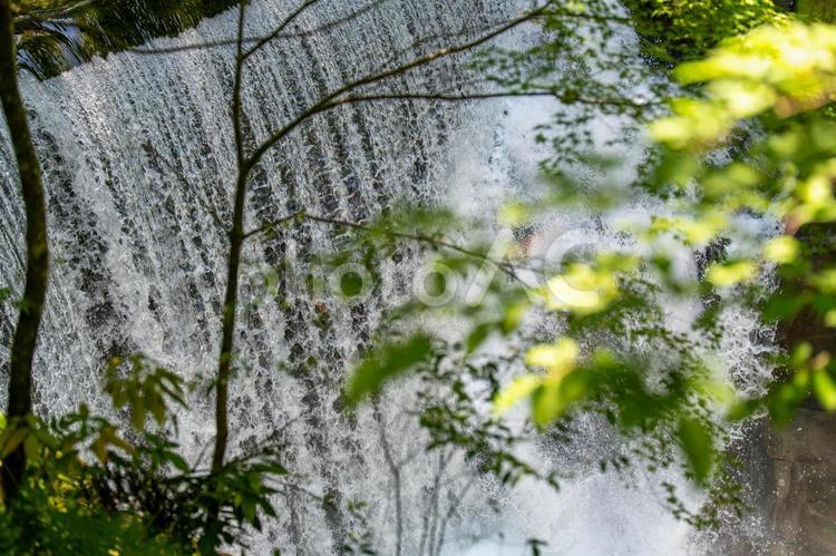 渓流の小さな流れ 滝,渓流,渓谷の写真素材