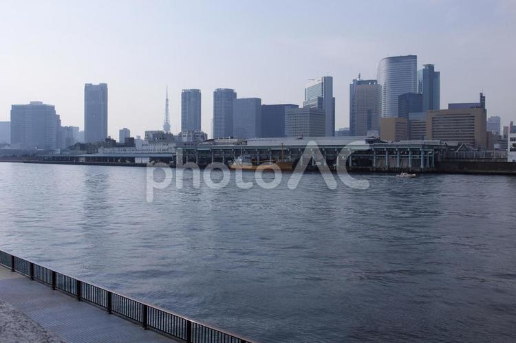 勝鬨橋から見た隅田川 隅田川,勝鬨橋,築地の写真素材