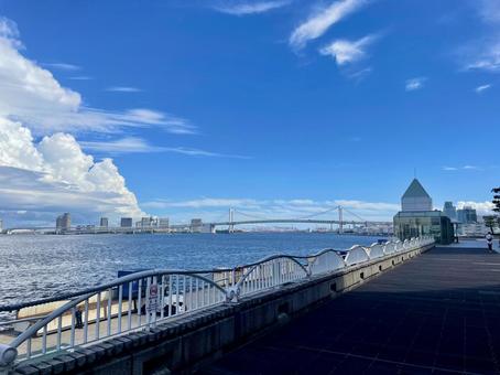 晴れた日の東京湾とレインボーブリッジ 晴れた日の東京湾とレインボーブリッジ 東京湾,レインボーブリッジ,海の写真素材
