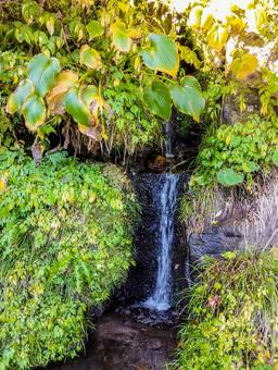 湧き出でる 塩原温泉,湧き水,清水の写真素材