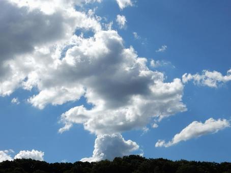 【風景写真】夏空 【風景写真】夏空の写真