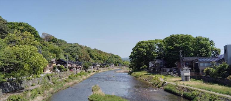浅野川と新緑 浅野川と新緑 浅野川,川,金沢市の写真素材