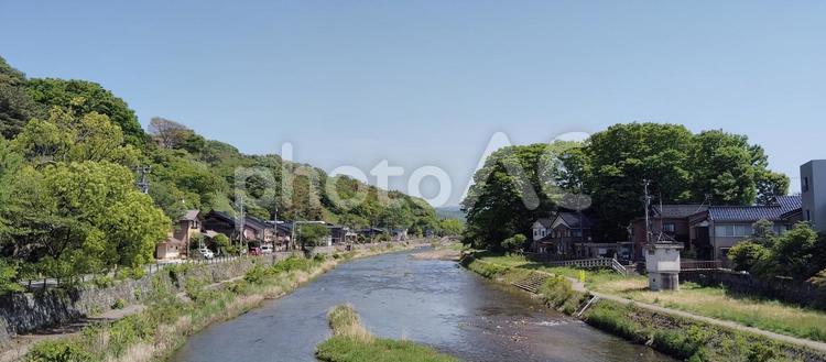 浅野川と新緑 浅野川,川,金沢市の写真素材