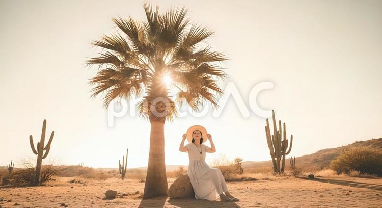 砂漠のヤシの木の下で休憩をする素敵な女性 砂漠,ヤシの木,サボテンの写真素材