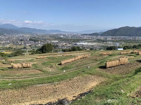 はぜ掛け風景 はぜ掛け風景 散歩中,自然,風景の写真素材