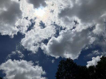 夏の空5 夏の空5の写真