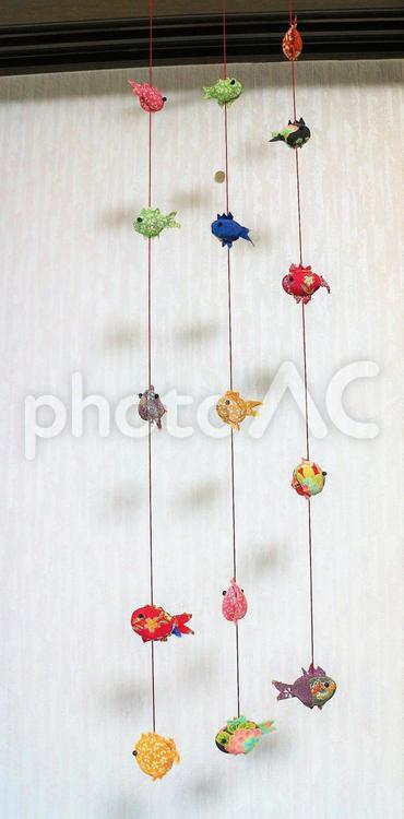 アサリの貝殻で作った金魚の壁飾り 壁飾り,金魚,アサリの写真素材