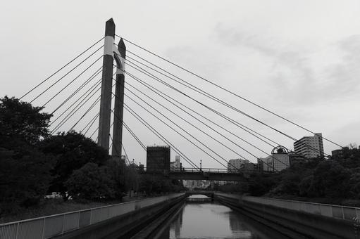 木場公園 モノクロ 木場公園 モノクロの写真