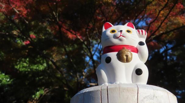 招き猫　紅葉狩り 招き猫,縁起物,置物の写真素材