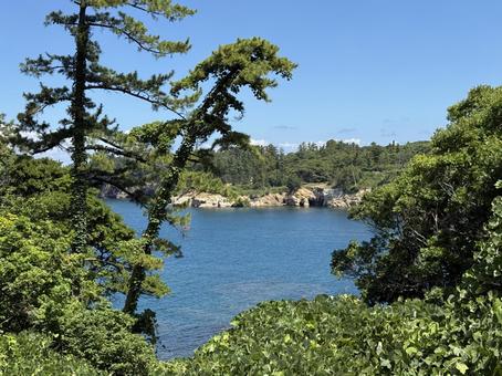 夏の空と東尋坊 夏の空と東尋坊 自然,港,レトロの写真素材