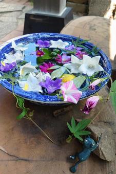 花手水 花手水 花手水,花,花びらの写真素材