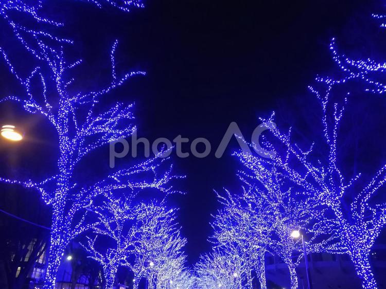 青の洞窟イルミネーション 青の洞窟,イルミネーション,クリスマスの写真素材