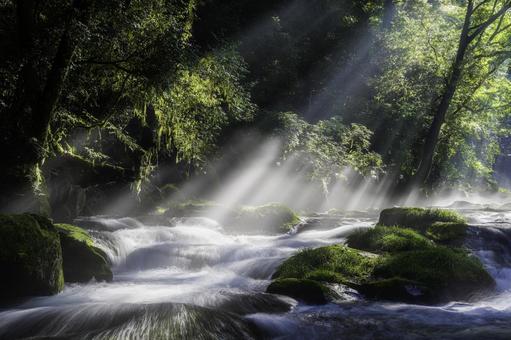 熊本-【菊池渓谷の光芒】 熊本,菊池渓谷,川の写真素材