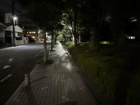夜の散歩1 夜の散歩1の写真