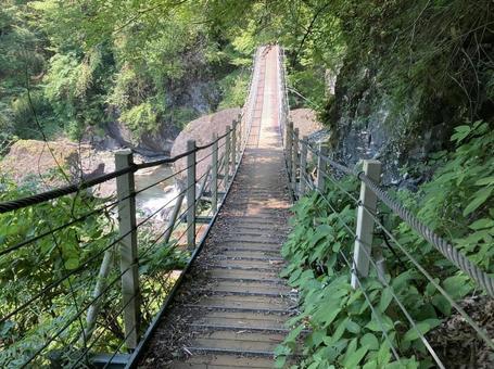吊橋の上 吊橋,夏,懐かしいの写真素材