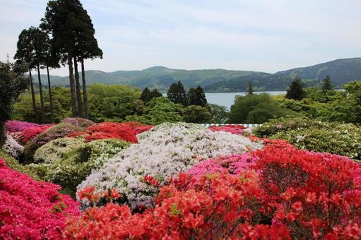 Garden and lake view at the Yamano Hotel in Hakone, JPG