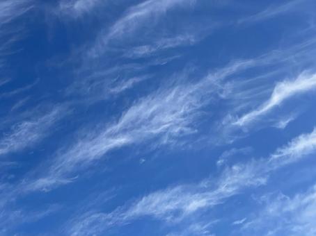 秋の雲　空 秋,龍神雲,自然の写真素材