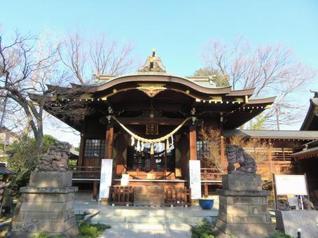Photo, goda hachiman shrine, hall of worship, a shrine, 