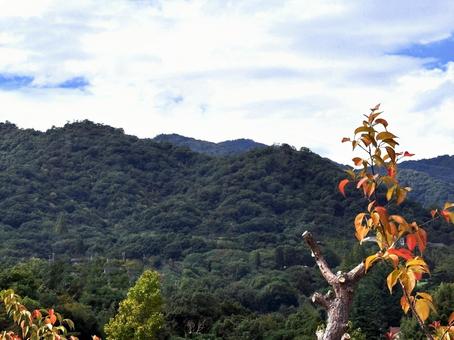 山の風景 山の風景の写真