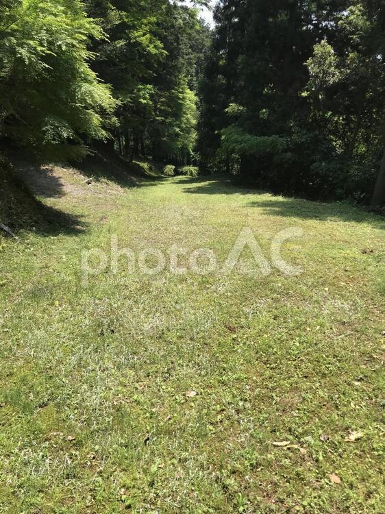 山の中の開けたところ。 草,風景,自然の写真素材