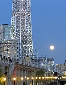 スカイツリー 空 街灯 スカイツリー 空 街灯の写真