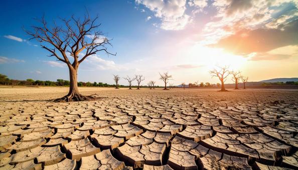 乾燥し、干からびた地面 乾燥し、干からびた地面の写真