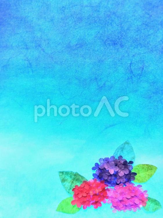 和紙　紫陽花(右下縦) 紫陽花,６月,梅雨の写真素材