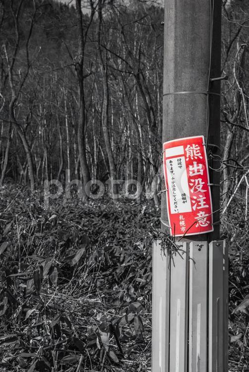 熊出没注意 熊出没注意,熊,注意標識の写真素材