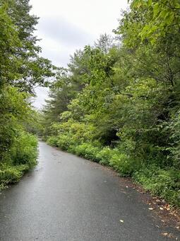 小里川ダム付近 道路 岐阜県瑞浪市 小里川ダム,小里川,道路の写真素材