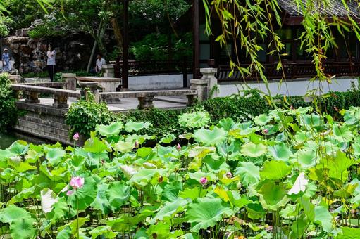 蘇州・拙政園 蘇州・拙政園の写真