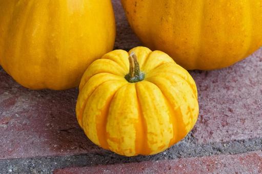 ハロウィンのかぼちゃ ハロウィンのかぼちゃの写真