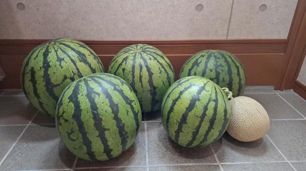 Photo, watermelon, a watermelon, water melon, 