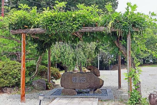Photo, kansei-ji temple, soto sect, yakushi yakushi, 