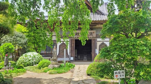 Photo, kikusui temple, enmeizan, fresh green, 