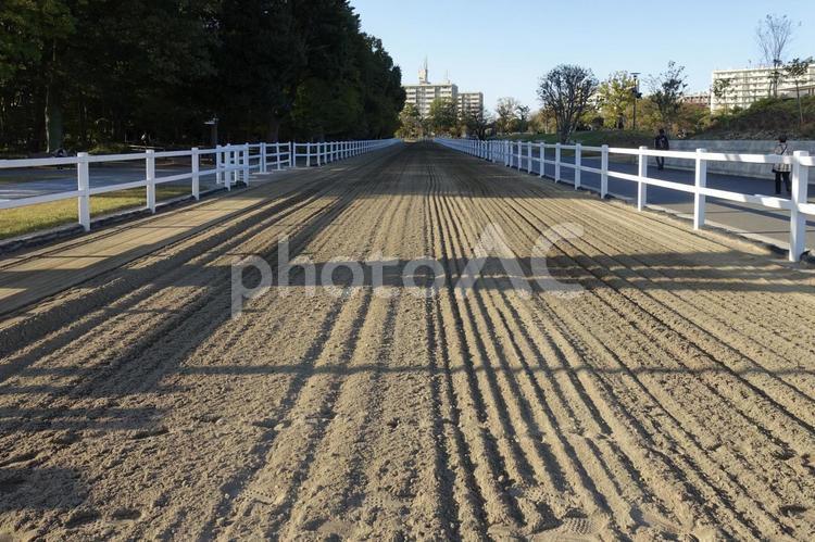 馬の走路　馬事公苑 走路,ダート,馬事公苑の写真素材