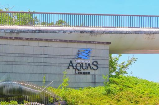 島根県立しまね海洋館アクアス 島根県立しまね海洋館アクアス 泳ぐ,水族館,イルカの写真素材