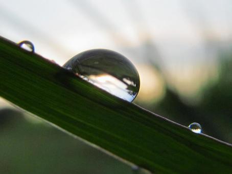 Photo, water droplets, drop, rain, 