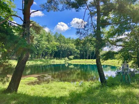 森に囲まれた静寂の水面と夏空 森に囲まれた静寂の水面と夏空 池,水面,ため池の写真素材