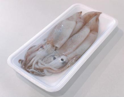 生いか 生いか 生いか,イカ,スルメイカの写真素材