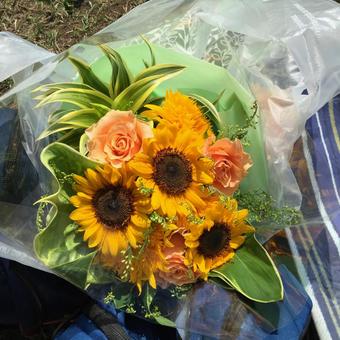 ひまわり ひまわり,花,きれいの写真素材