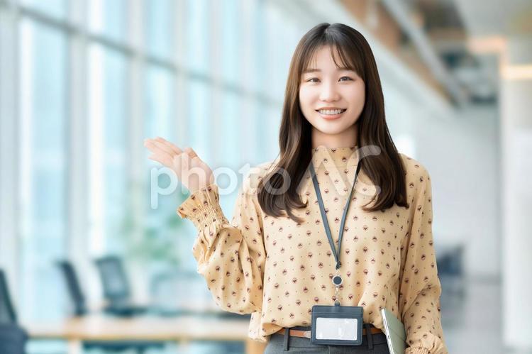 手で案内をする女性・ビジネスウーマン 女性,笑顔,案内の写真素材