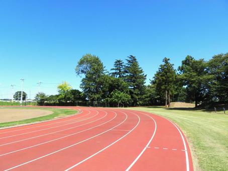 陸上競技場のトラック（夏） 陸上競技場,トラック,運動場の写真素材