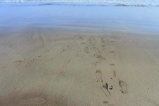 砂浜と海 砂浜と海の写真